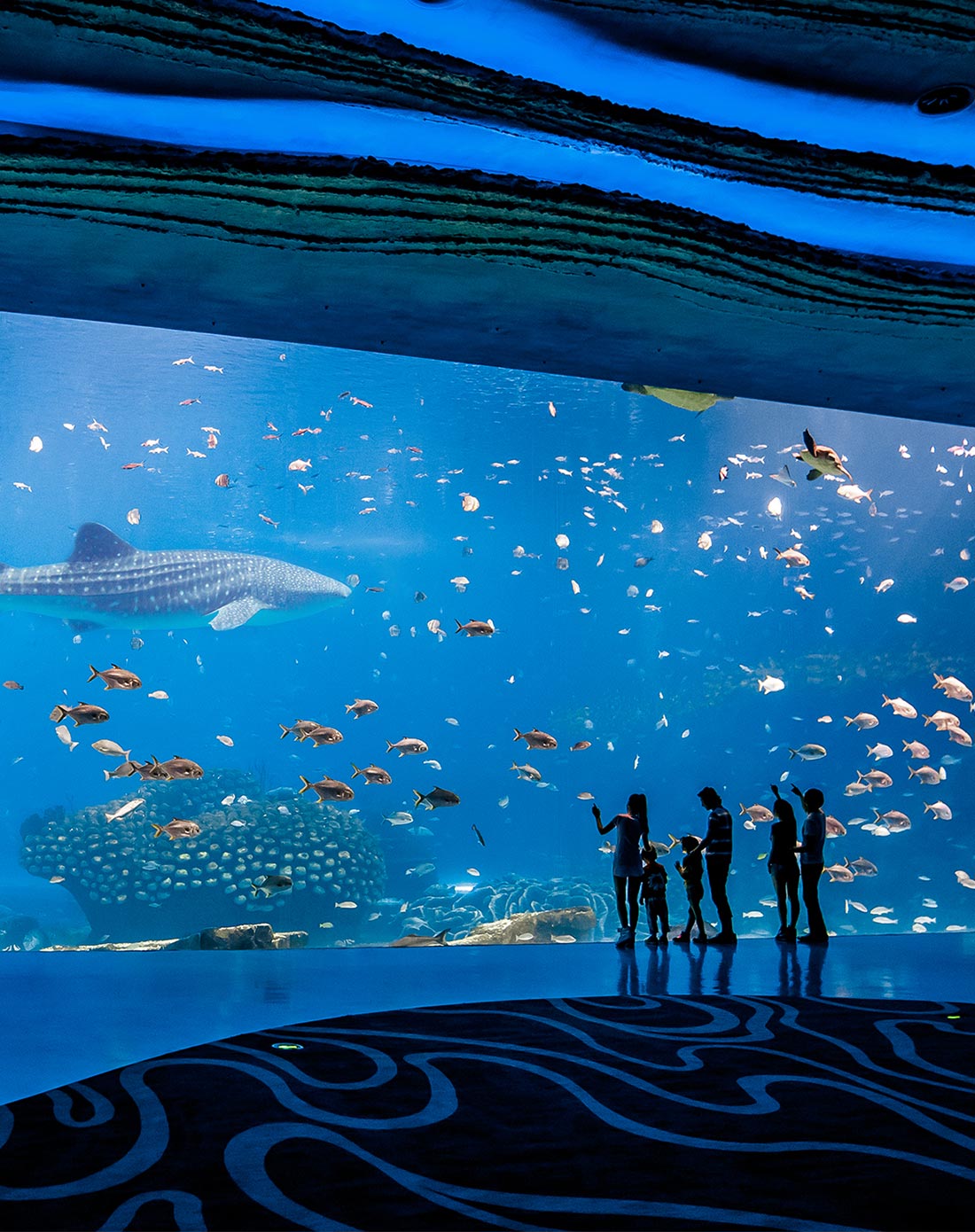 8月19日珠海长隆马戏酒店【魔术房/奇趣房】3天2晚海洋王国亲子自由行