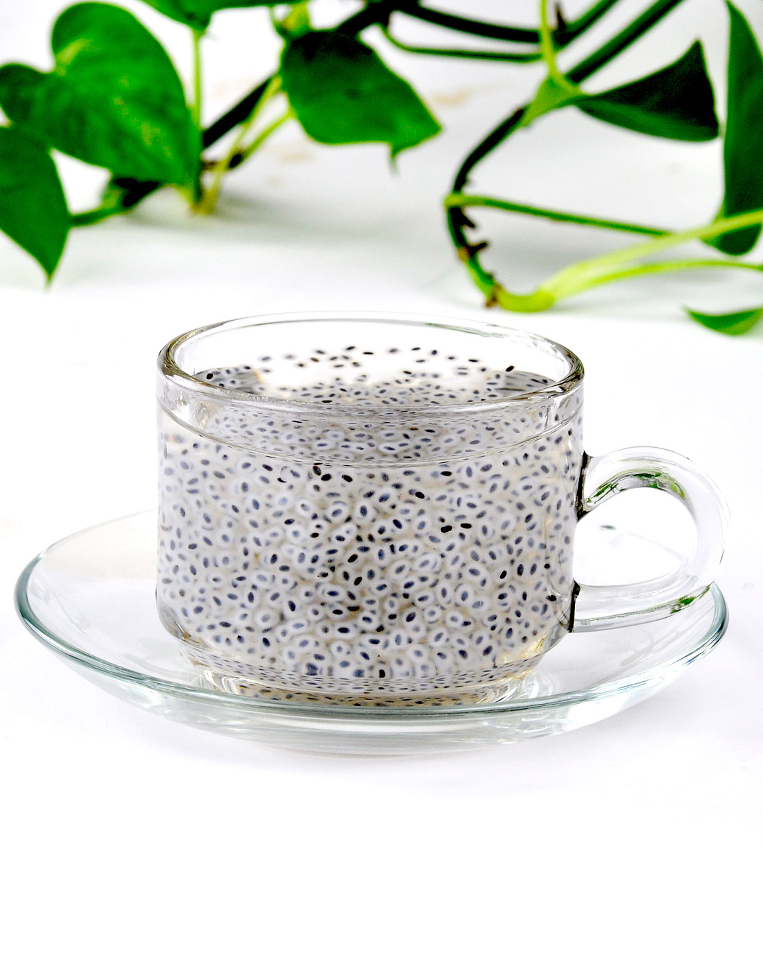 兰香子 花草茶 200克/袋