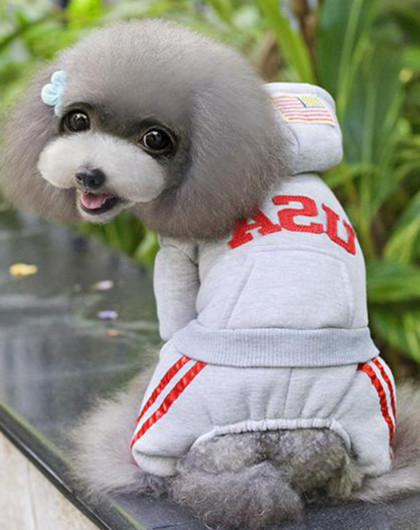 泰迪宠物连体运动卫衣(灰色m码)