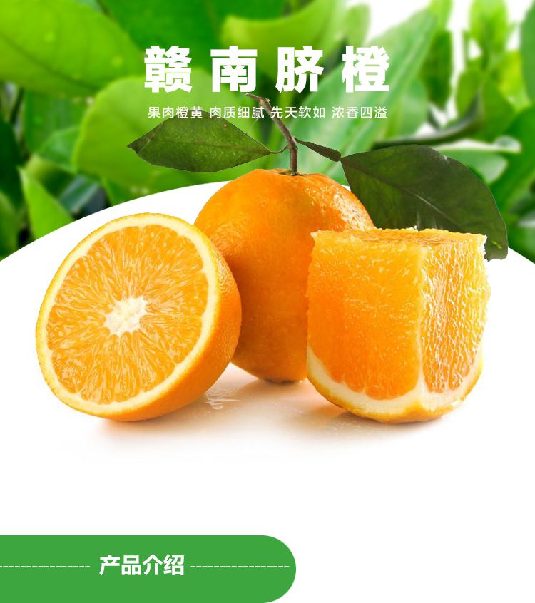 贛南臍橙5kg/箱