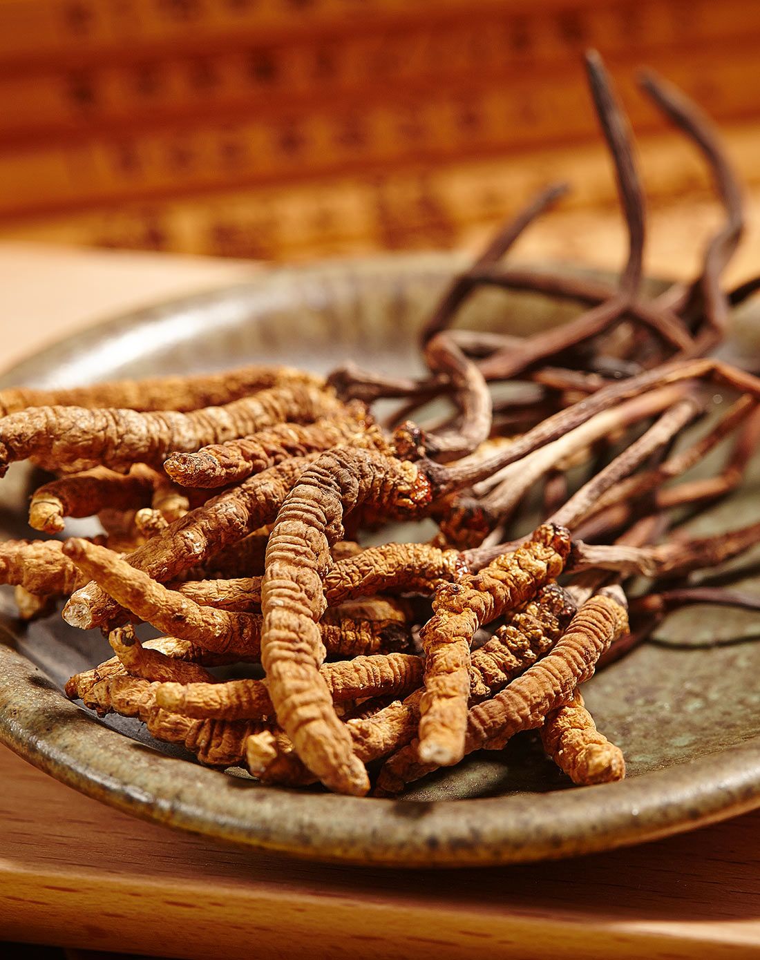 冬虫夏草10g精装