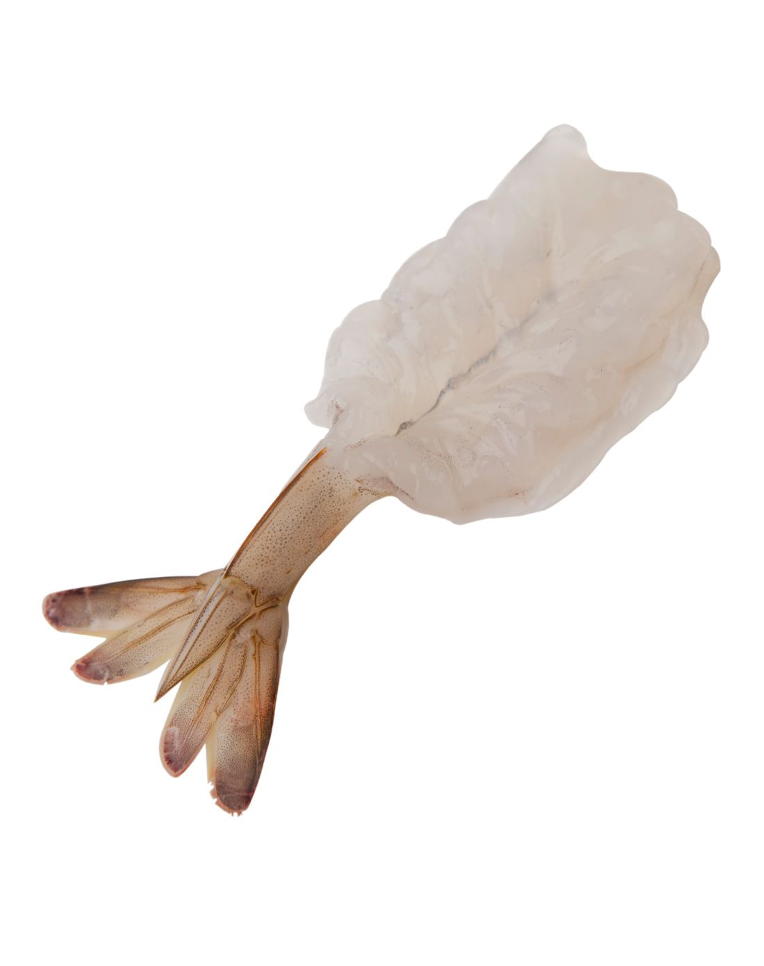 南美白对虾生蝴蝶虾仁 500g