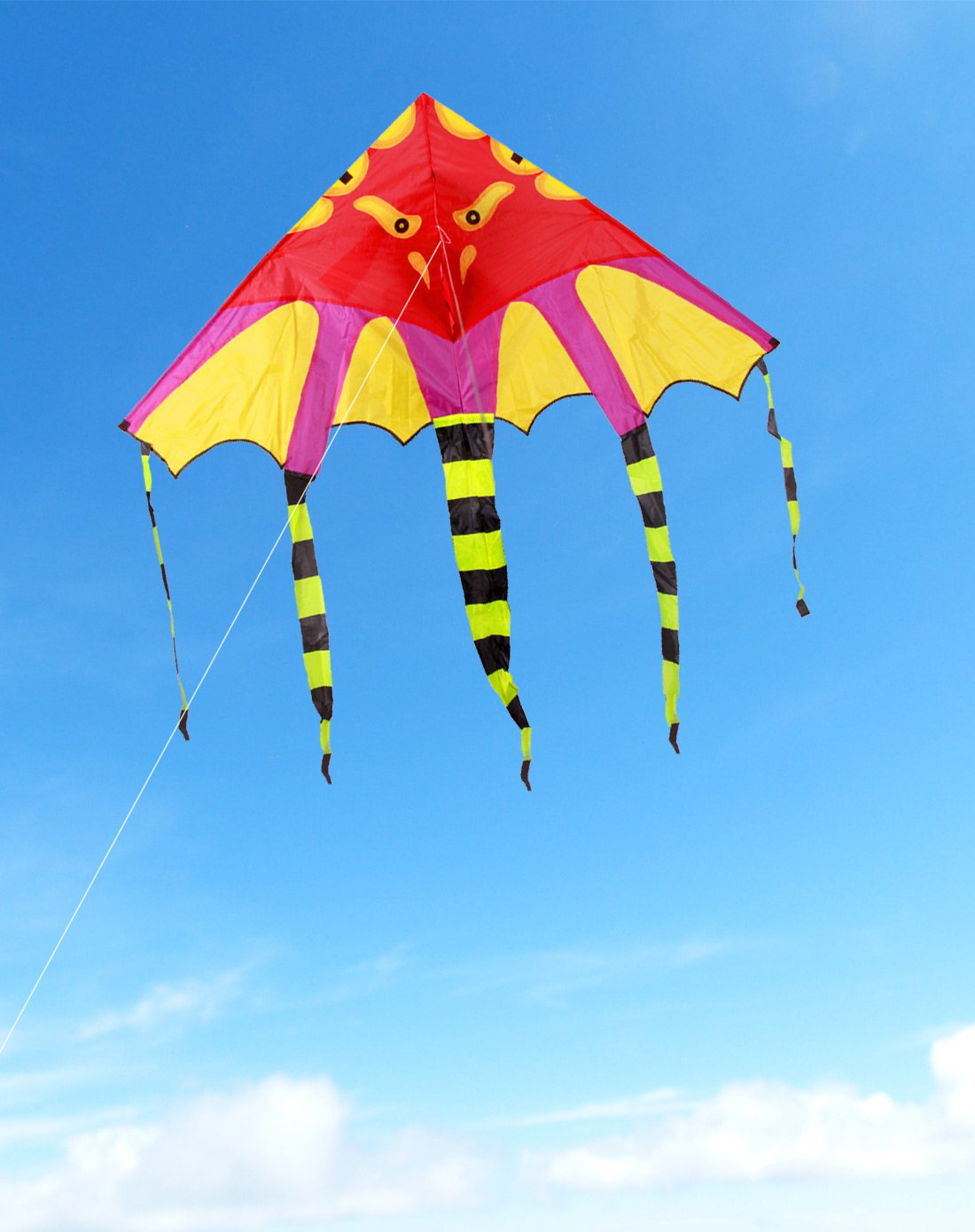 多尾蝙蝠红头送100米拉力线