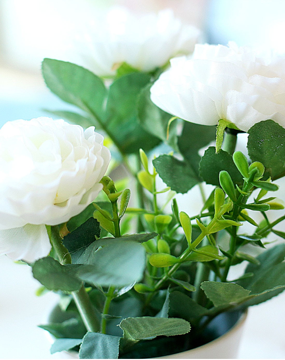 可爱露莲小花艺白色