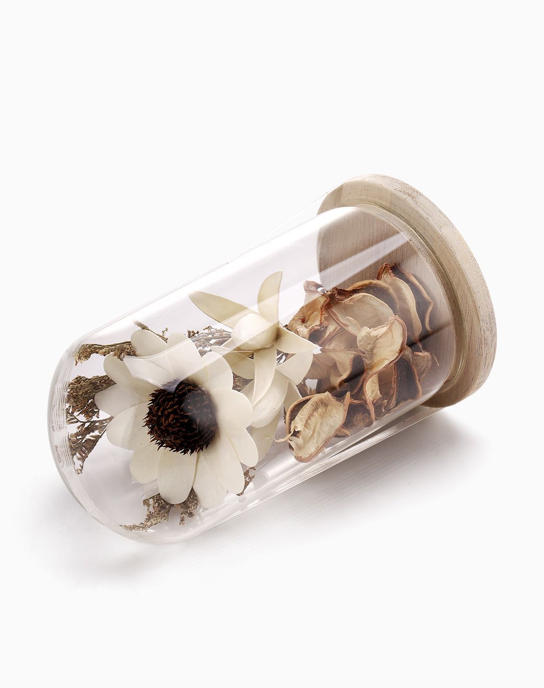 小号棉花壳太阳花玻璃罩摆件