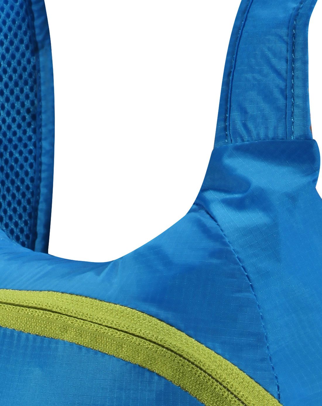 便携易用 中性普蓝色变色龙(anole)14l