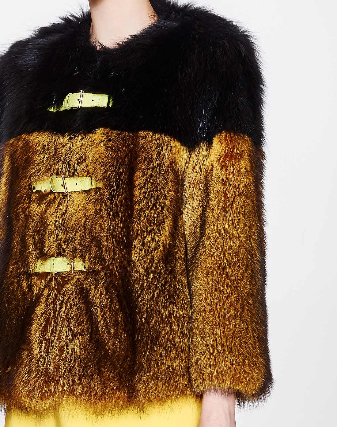 黑/黄色进口美洲貉子毛短款皮草