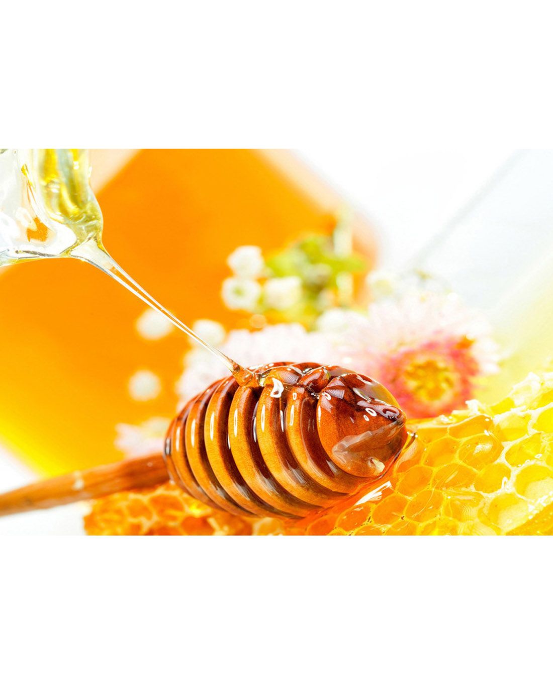 [天然好蜂蜜] 必美加拿大蜂蜜1000g