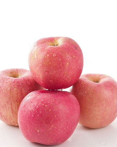 栖霞红富士苹果礼盒5kg/箱