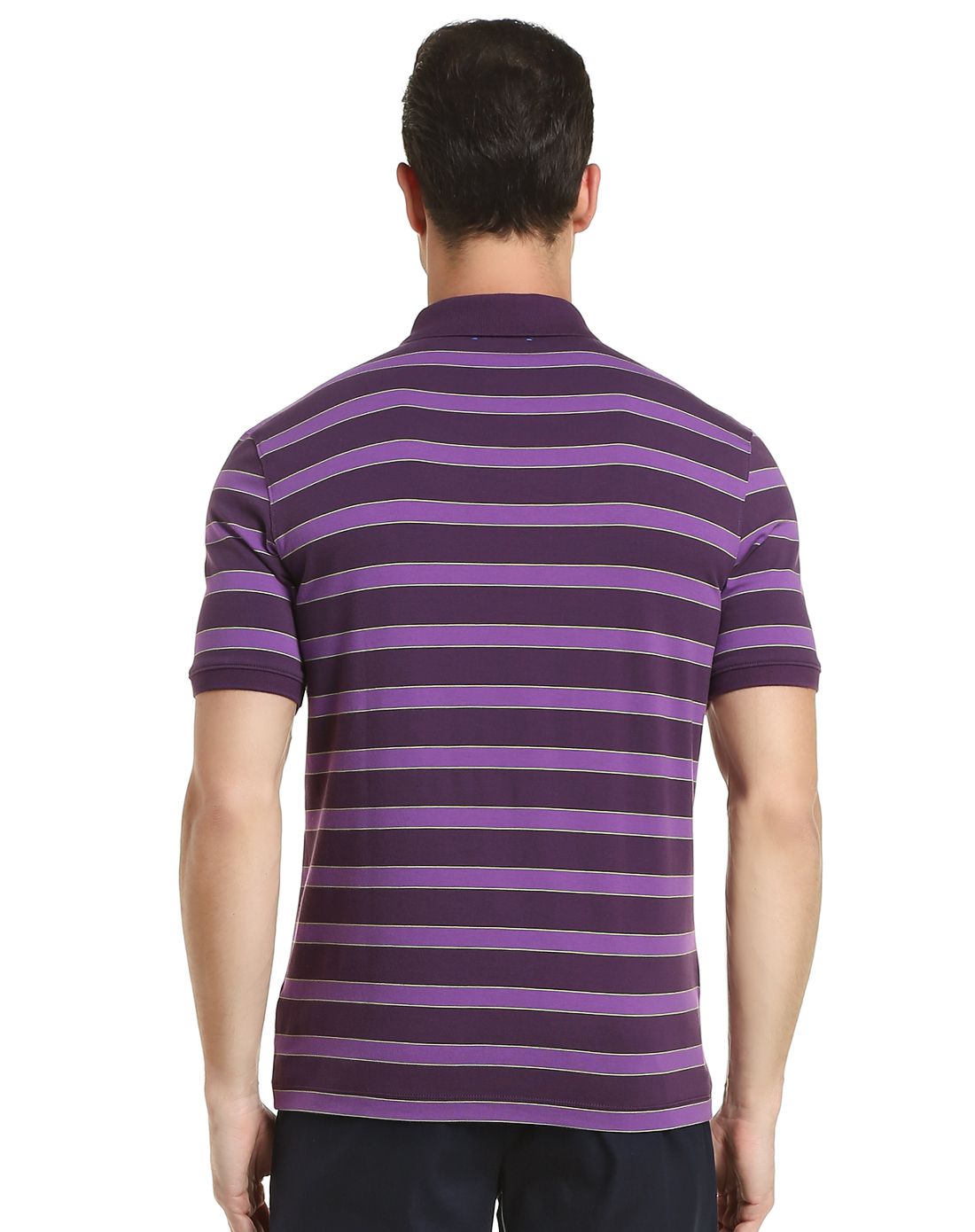 紫色时尚条纹翻领短袖t恤