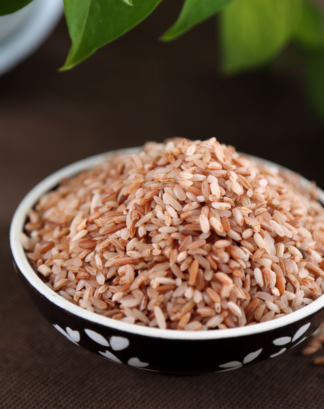 枣想核你在一起美食专场(4件起售)玖品哈尼红软米红米450g69559190200