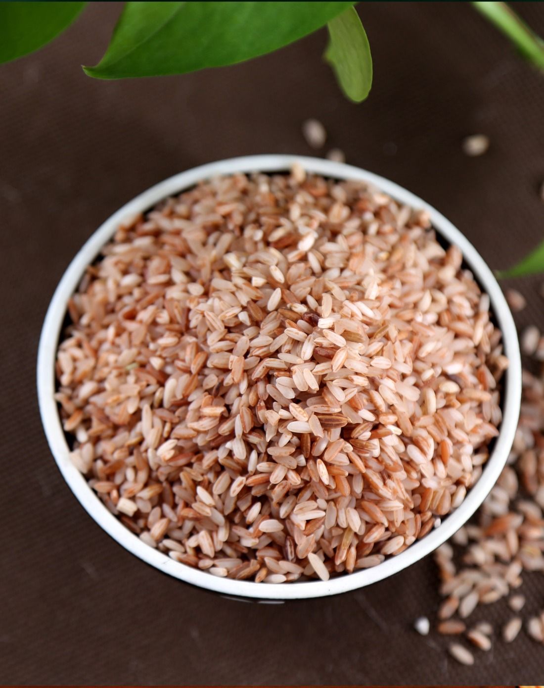 (2件起售)玖品哈尼红软米红米450g