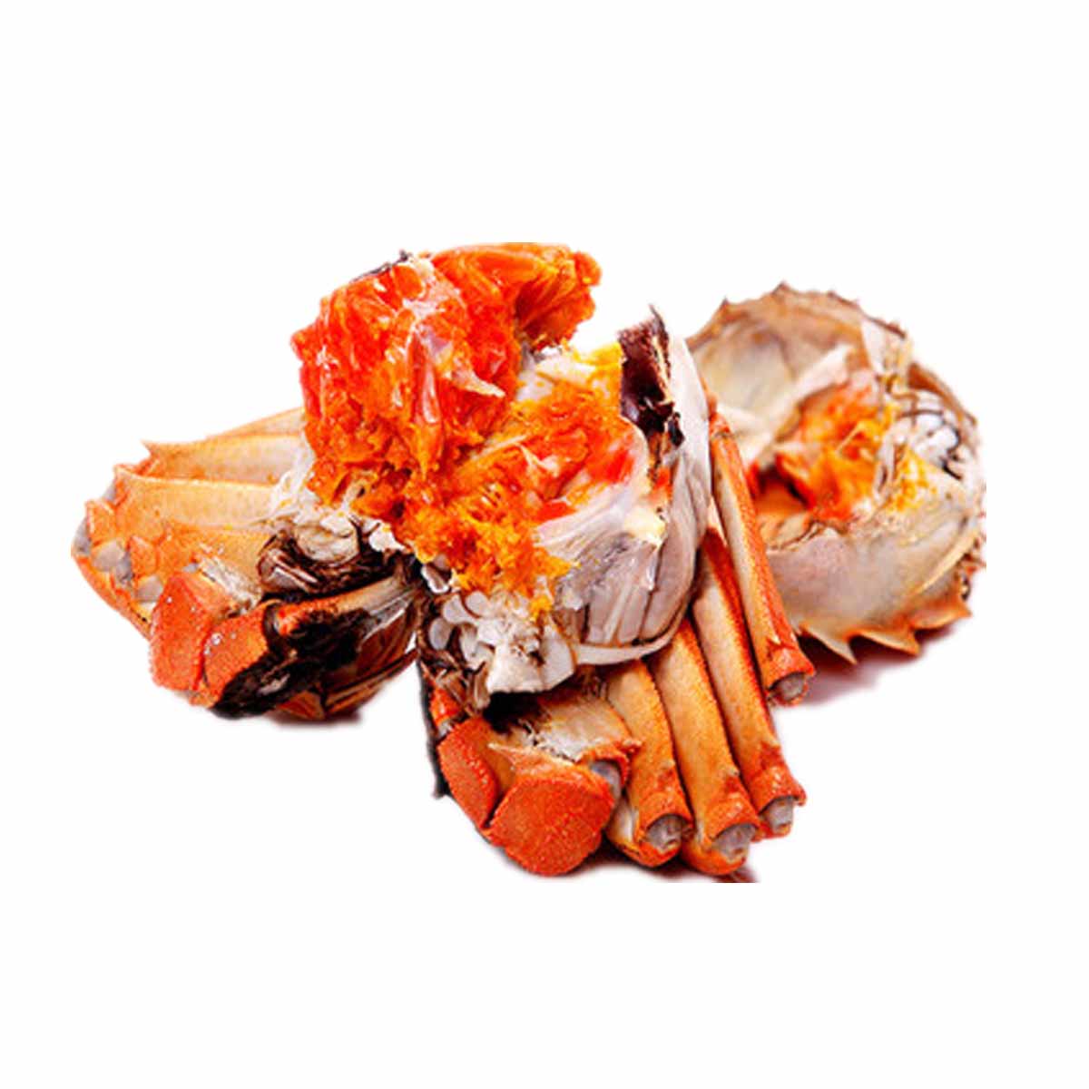 【现货】阳澄湖大闸蟹鲜活礼盒公5.0 母3.5 4对8只1588型顺丰免邮