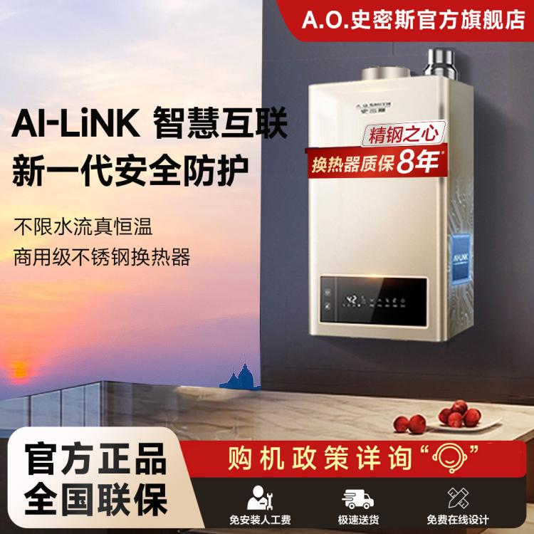 A.O.SMITH 史密斯13升/16升家用燃气热水器TM5Wi强排式恒温商用级不锈钢水箱