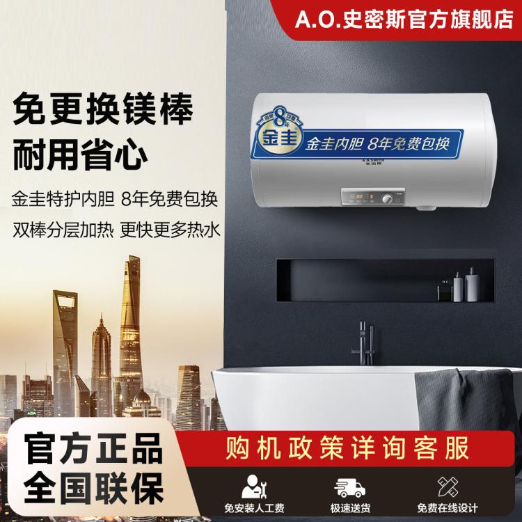 A.O.SMITH 史密斯免换镁棒100升电热水器家用洗澡E100MDG 大容量