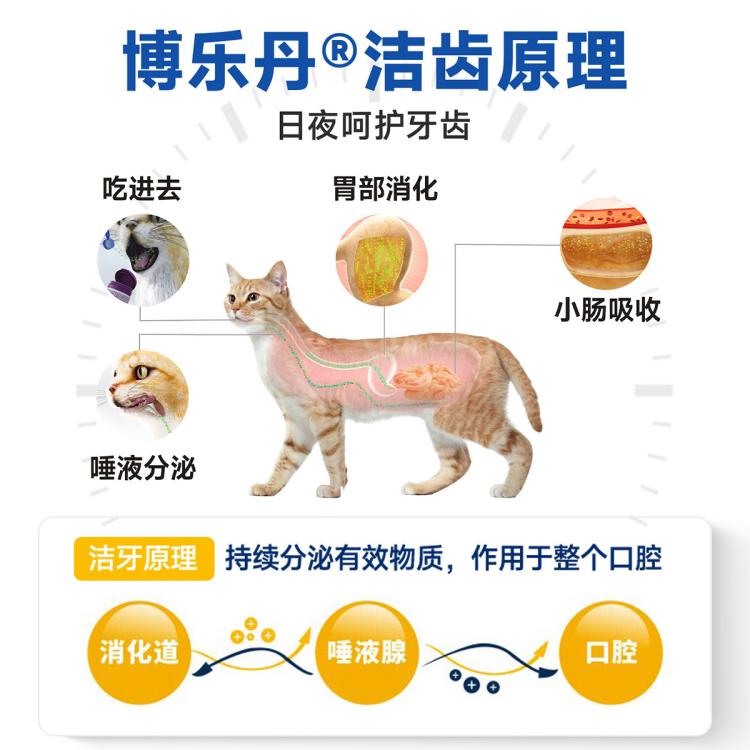 商品缩略图 4