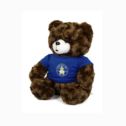 丹尼熊毛绒公仔玩具坐姿穿衣熊抱枕玩偶