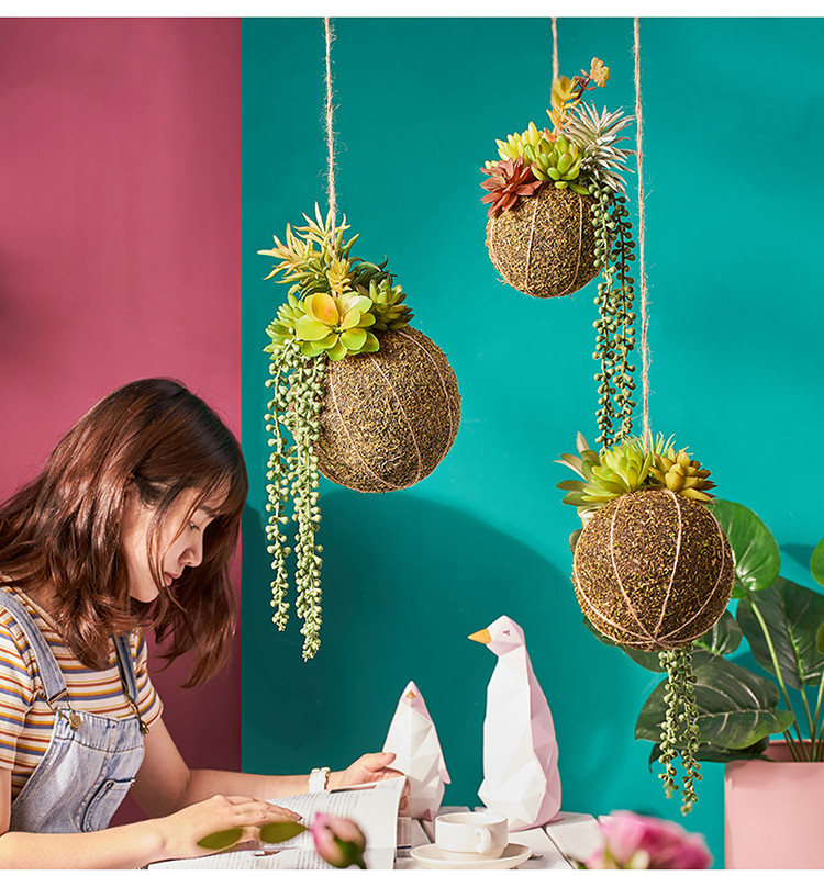 创意田园圆球多肉吊饰客厅咖啡厅悬吊装饰品酒店餐厅墙上绿植挂件