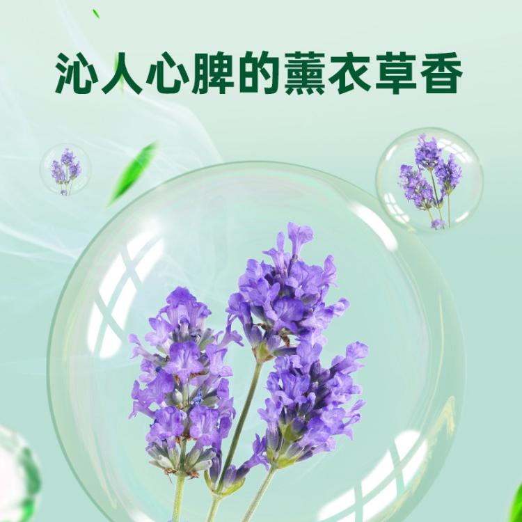 Dettol 【杀菌100种】滴露衣物除菌液3L*2 为衣物设计 衣物除螨