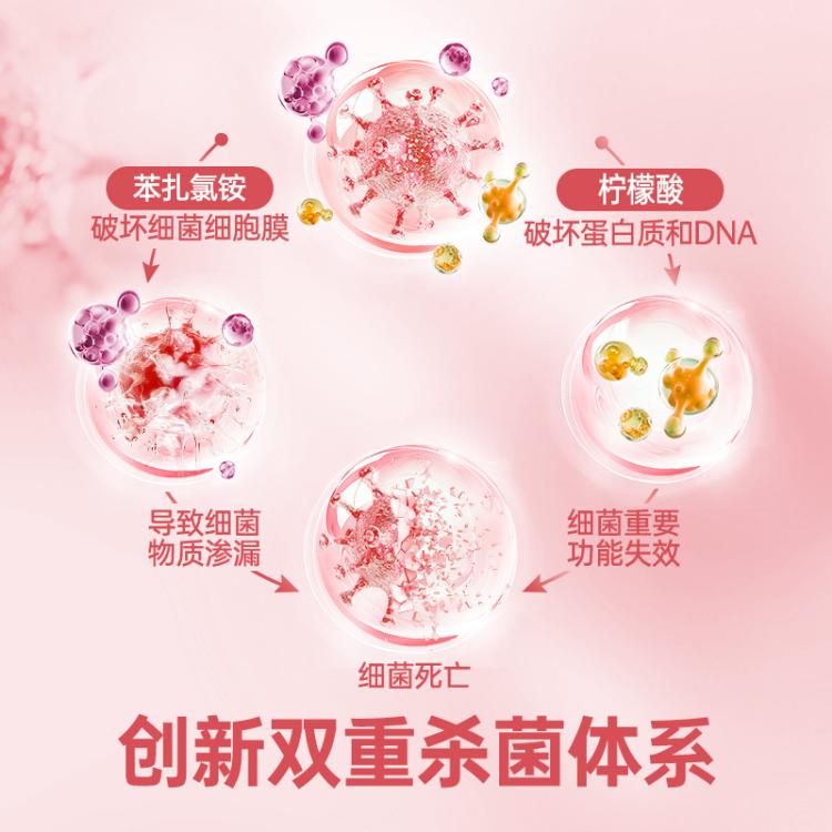 Dettol 【杀菌除螨】滴露自然消毒液 白桃与葡萄柚香氛1L+湿巾10片