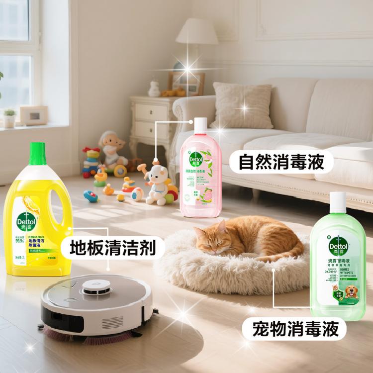 Dettol 【杀菌99.999%】滴露自然消毒液 白桃与葡萄柚香氛1L*2+湿巾