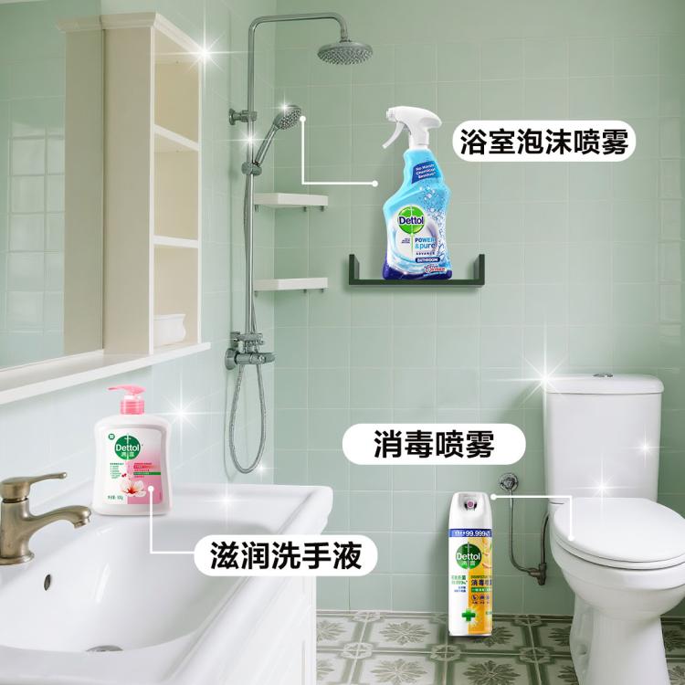 Dettol 【马桶圈消毒喷雾】气味清新454ml*2+湿巾*2 有效杀菌100种