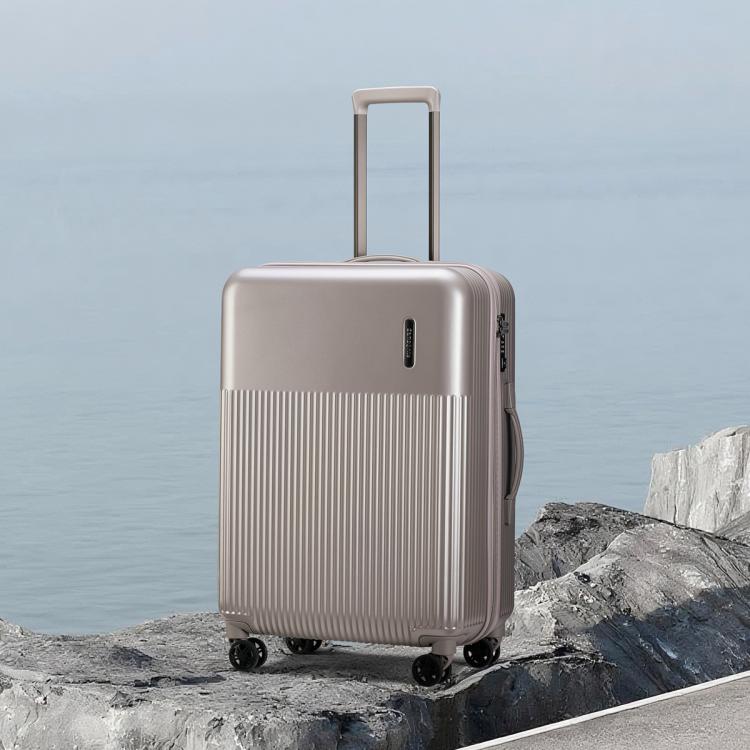 新秀丽 结实耐用大容量轻便拉杆箱20寸登机箱旅行箱密码行李箱 DK7