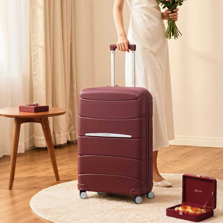 新秀丽 【轻便抗压】都市商务风大牌拉杆箱轻量通勤出差旅行箱 QM4