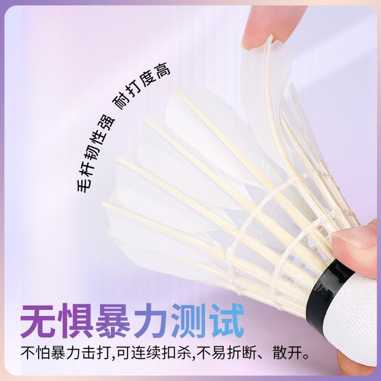 匹克 【飞行稳定】羽毛球耐打王不易打烂鸭毛室外家庭套装训练用球