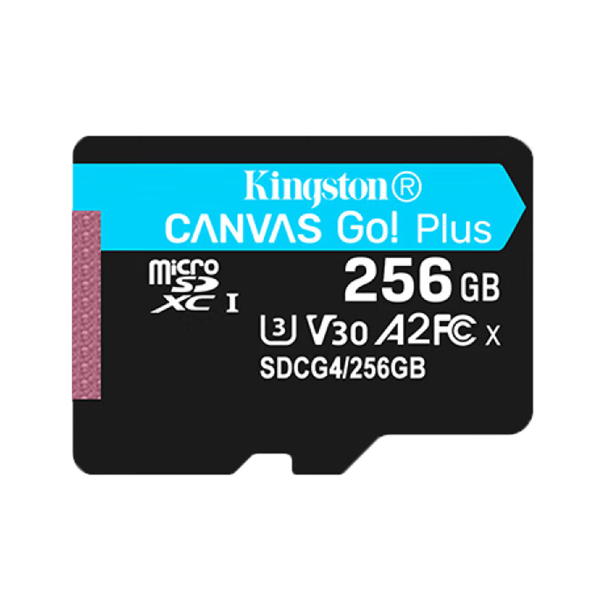 SD˻רô洢ͷ˶г¼Ǹٴ洢 256GB209Ԫ