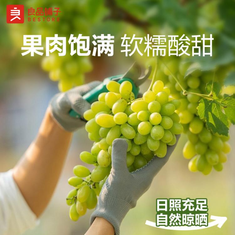 良品铺子 【约15包】葡萄干沙琪玛500g零食整箱传统糕点早餐小吃中式任选