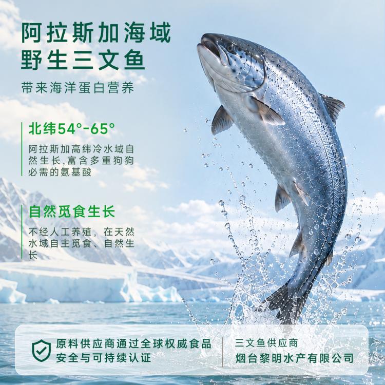 商品缩略图 9