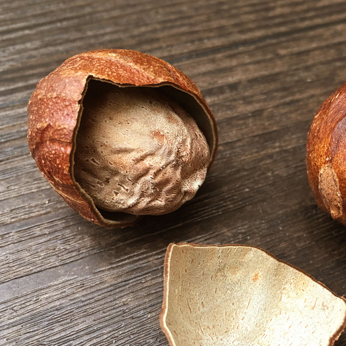 香果 川菜炖肉香料无硫熏 烧菜炖菜火锅卤料50g