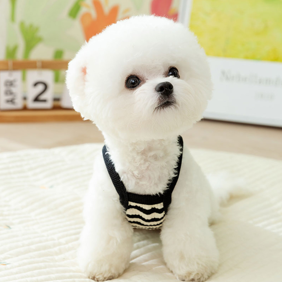嬉皮狗 法式可牵引狗狗衣服夏季薄款泰迪比熊博美小型犬宠物夏天背心吊带