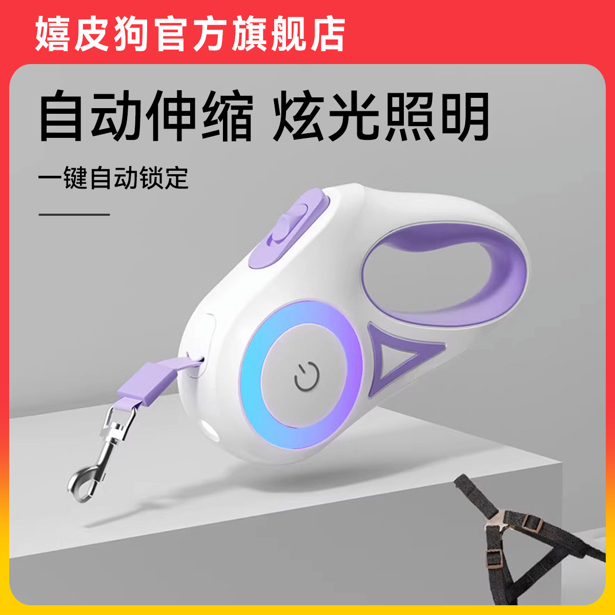 狗狗柯基用品