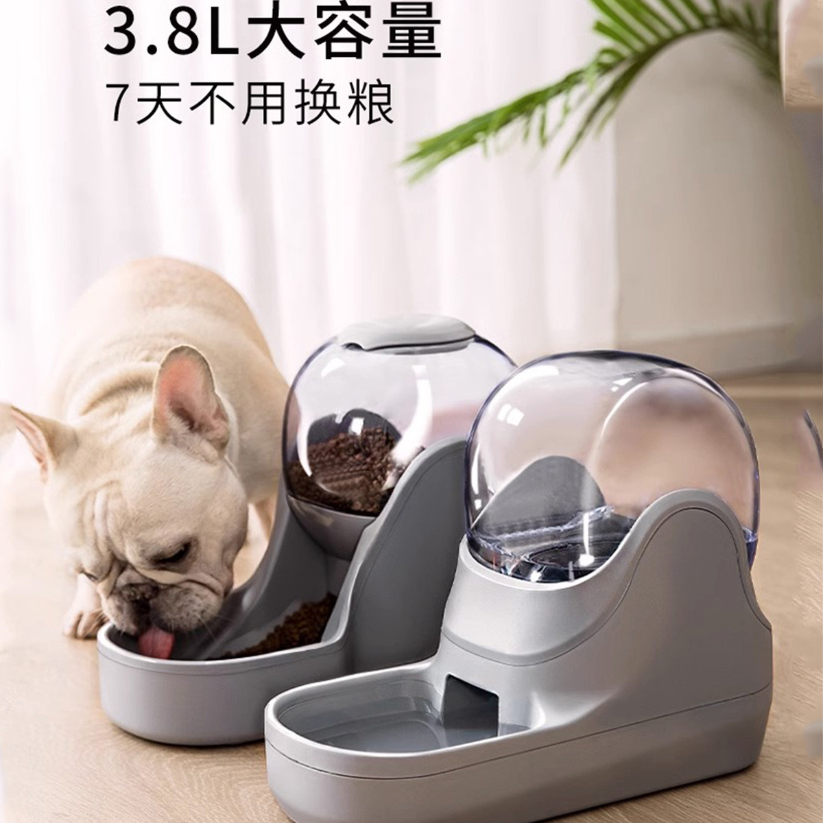 猫咪狗狗喂食器