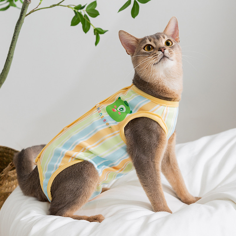 嬉皮狗 猫衣服薄款手术后服用药服断奶透气生理裤防舔骚扰宠物猫咪绝育服
