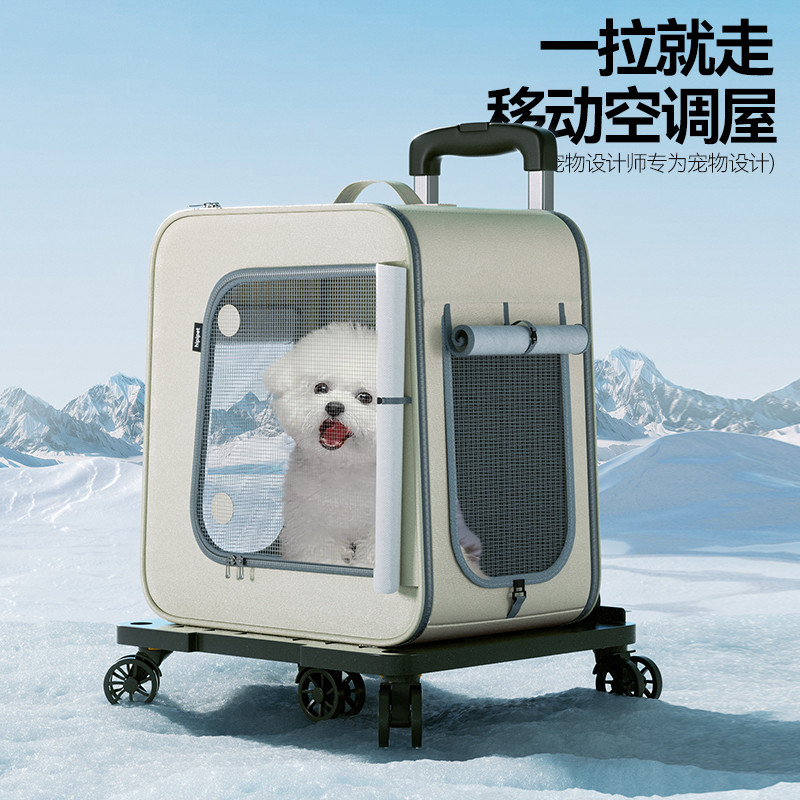 宠物外出背包