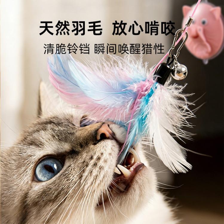 商品缩略图 5
