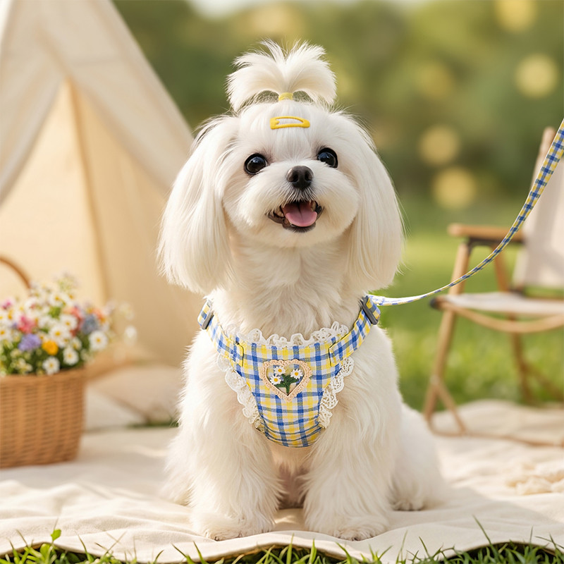 嬉皮狗 狗狗胸背带背心式狗绳春日花境狗狗胸背小型犬我外出透气狗牵引绳