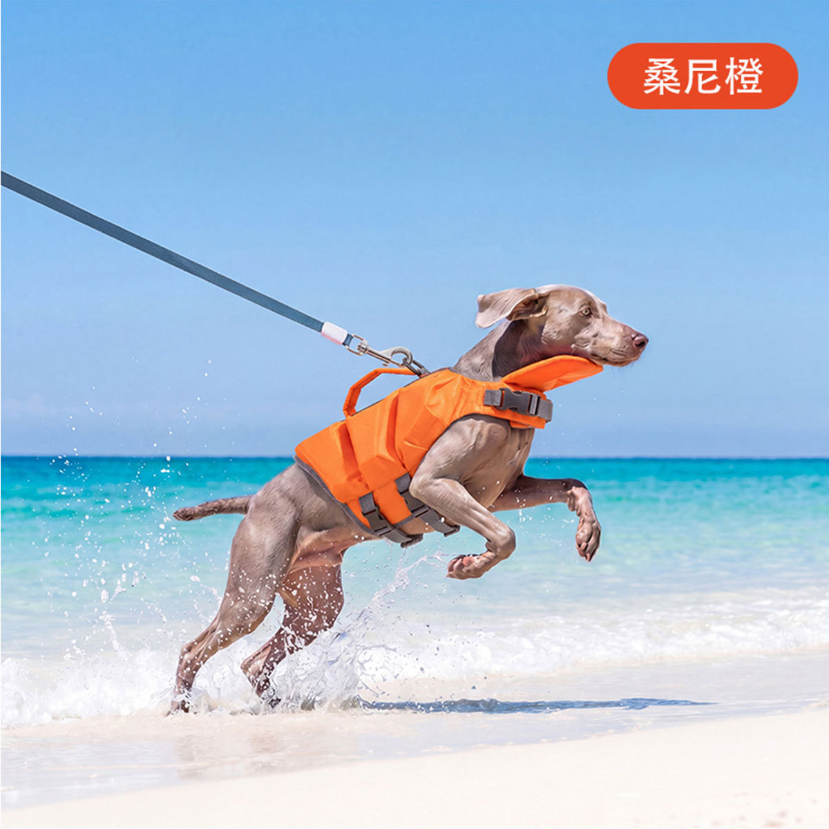 嬉皮狗 新款狗狗救生衣比熊泰迪边牧撞色多巴胺大中小型犬宠物游泳衣