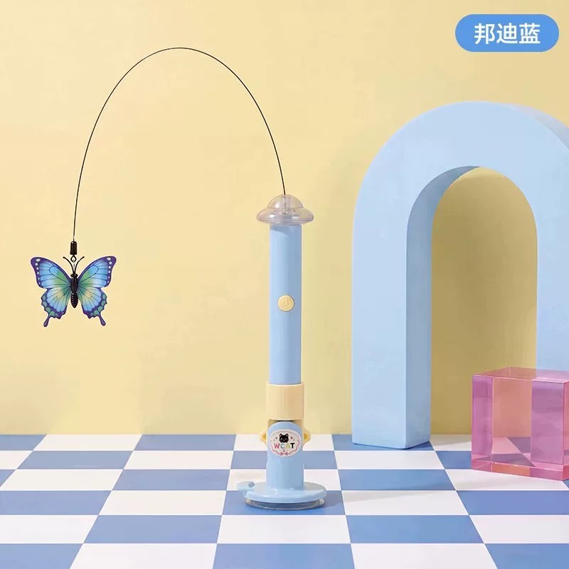 猫咪小猫逗猫棒