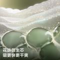 Babycare 【品牌直供 安心品质】【试用装】山茶轻柔纸尿裤NB-L码3片 图片 4