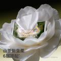 bc babycare 山茶保湿纸巾新生婴幼儿童专用云柔巾宝宝乳霜纸80抽 图片 2