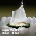 bc babycare 山茶保湿纸巾新生婴幼儿童专用云柔巾宝宝乳霜纸20抽 图片 3