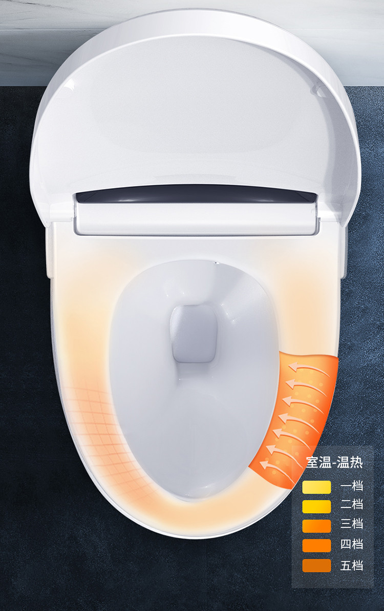 【免费安装】东鹏卫浴智能马桶全自动一体式冲洗烘干家用坐便器