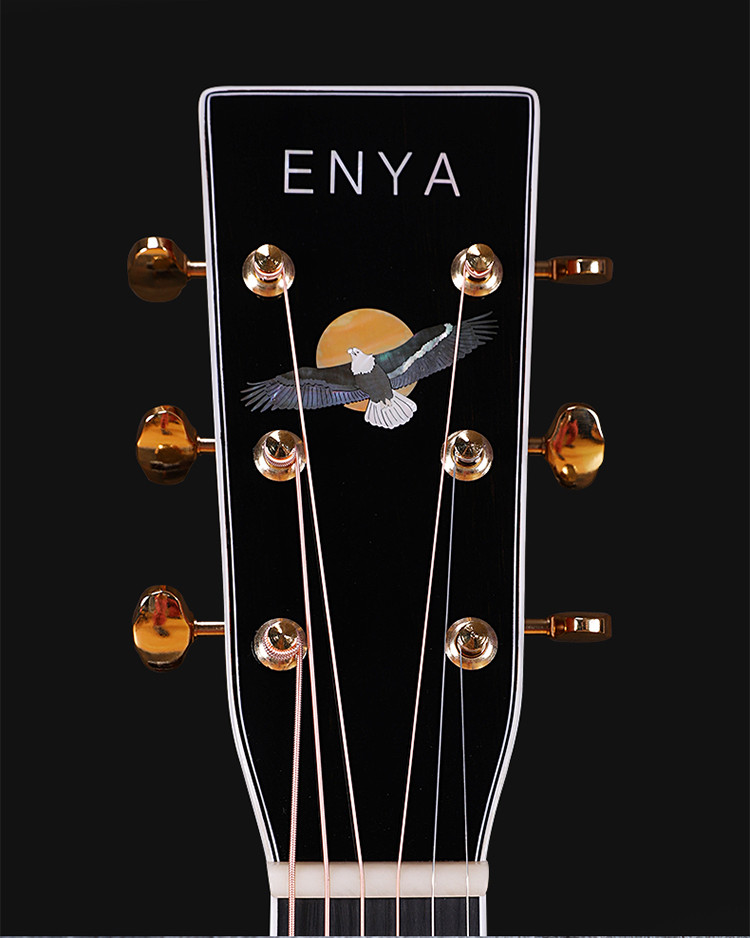 恩雅全新款t10sd全单民谣吉他高端专业民谣木吉他41寸电箱款