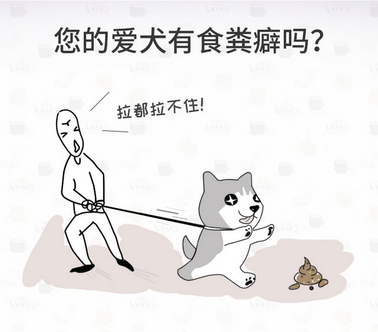 英国vetiq微量元素片宠物狗幼犬泰迪防异食癖吃屎啃土用品助消化