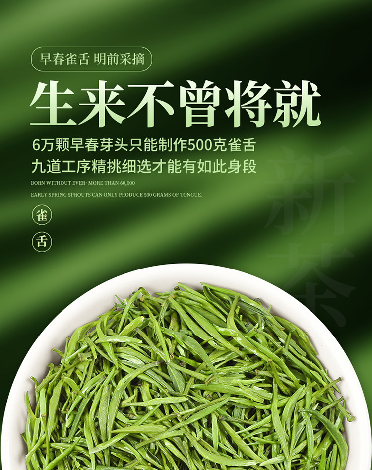 雀舌茶叶绿茶春茶 明前一级贵州雀舌湄潭毛尖毛峰翠芽雀舌罐装75g