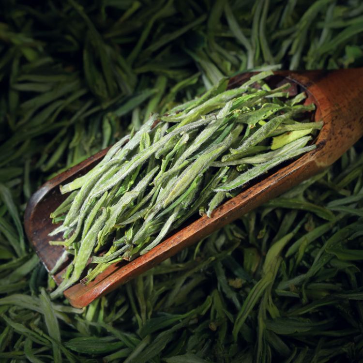 2021新茶 黄山原产毛峰明前特级茶叶绿茶 春茶嫩芽明前散装125g